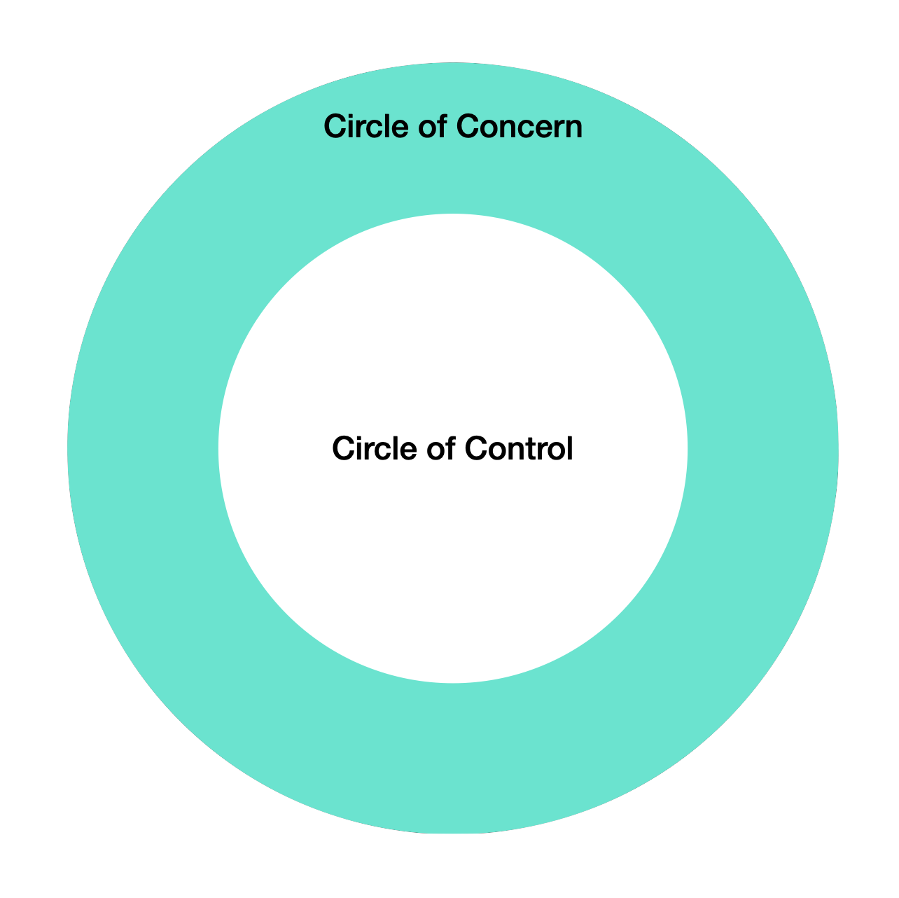 Circle of Control - Stephen Covey